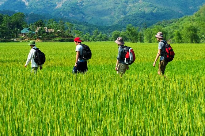 5 Days Trekking Tour of Sri Lanka in Knuckles Mountains, Horton Plains, Ohiya and Bambarakanda Waterfall