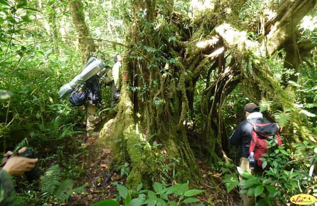 3 days Sinharaja Rain Forest and Rural Village Trekking Tour of Sri Lanka