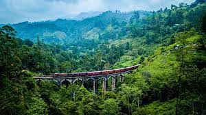 ( 6 nights) Glimpse Of Sri Lanka Tour