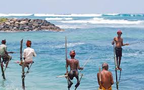 ( 7 nights) Honeymoon Tour Sri Lanka