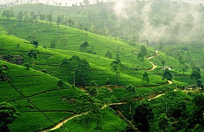 ( 13 days) Sri Lanka Cultural Tour