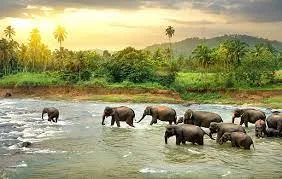 ( 5 nights) Cultural & Hill Country Tour