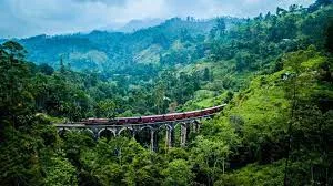 ( 6 nights) Glimpse Of Sri Lanka Tour