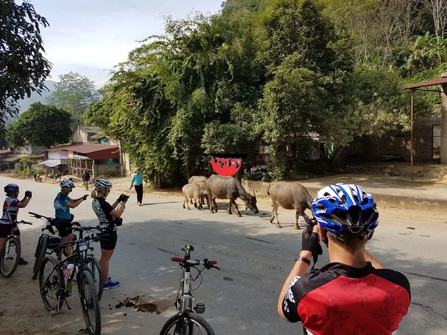 Explore Mekong Delta Cycling Tours - 10 Days 2