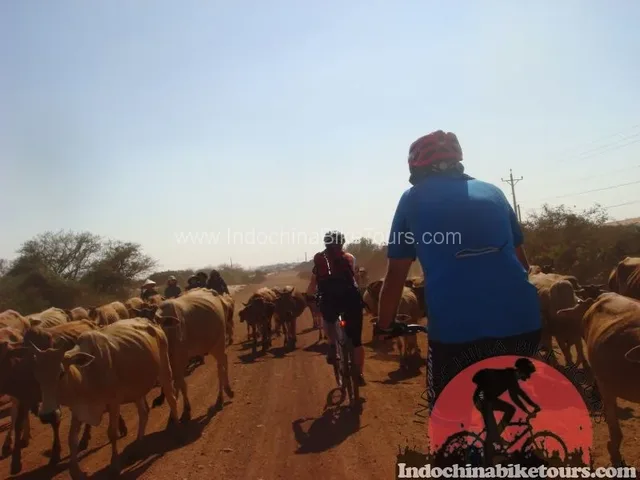 Mekong Delta Cycling Holiday - 4 Days 3