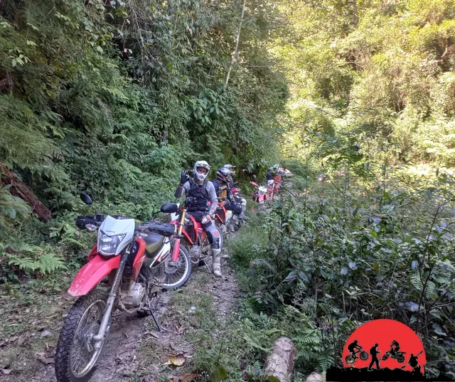 Tea Trail 4